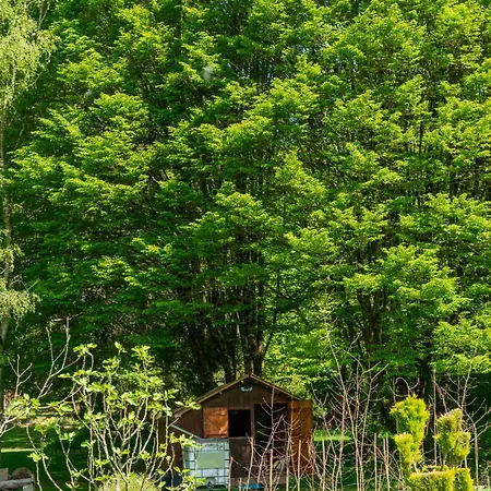 Bord De Rivière, 7500 M2 De Nature Villiers-Charlemagne